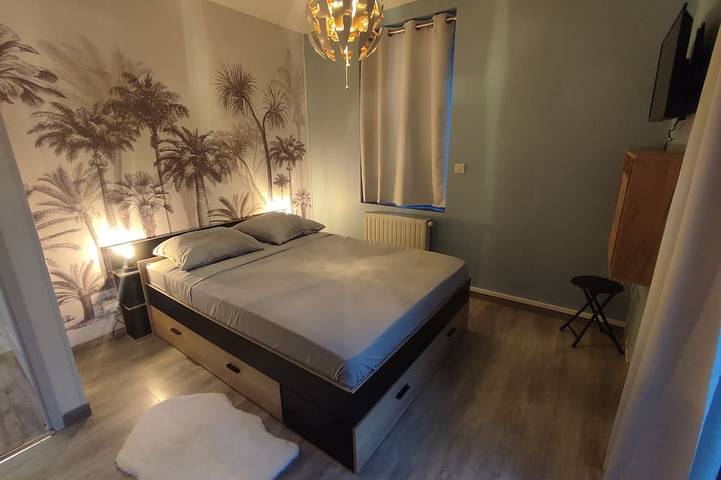 Gîte pour 6 personnes, avec balcon, animaux acceptés à Thonon-les-Bains - 4