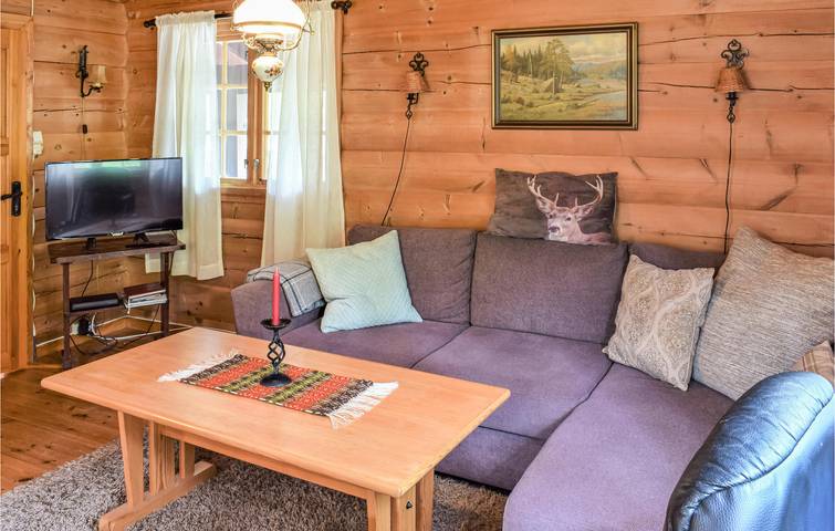 Ferienhaus für 4 Personen mit Terrasse in Tokke