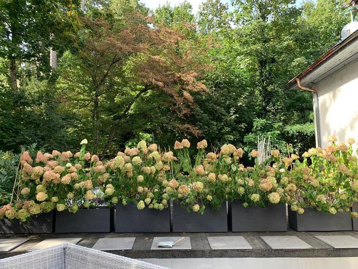 Gîte pour 6 personnes, avec terrasse à Divonne-les-Bains - 2