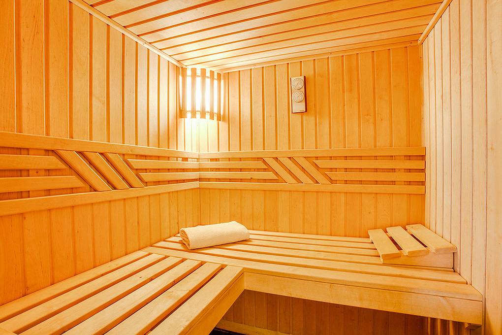 Ch 388.005 S - Chalet "Icelandica" in Les Masses, Vex