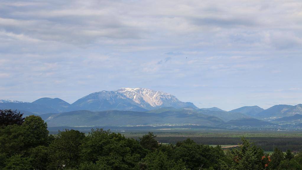 Görg - Dein kulinarisches Zuhause - Wohlfühlzimmer Waldblick in Katzelsdorf, Wiener Alpen in Niederösterreich
