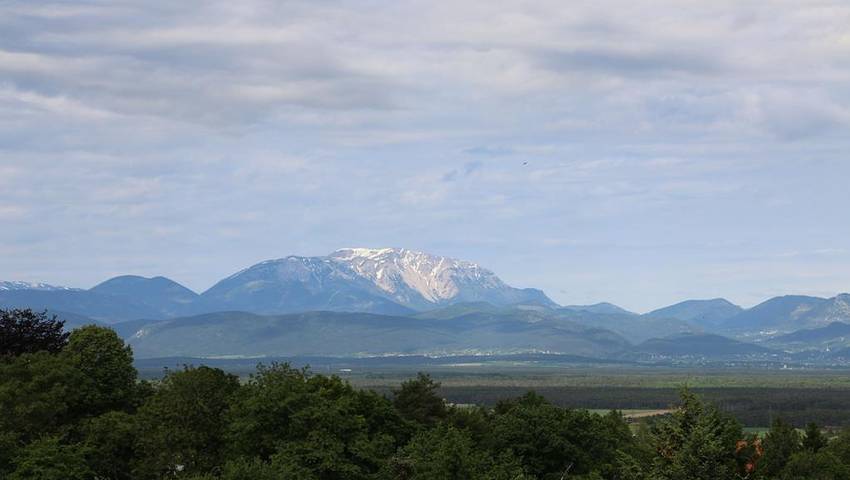 Görg - Dein kulinarisches Zuhause - Wohlfühlzimmer Waldblick in Katzelsdorf, Wiener Alpen in Niederösterreich