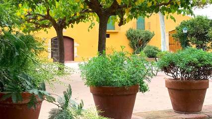 Apartamento Rural para 16 Personas en Riudoms, Baix Camp, Foto 2