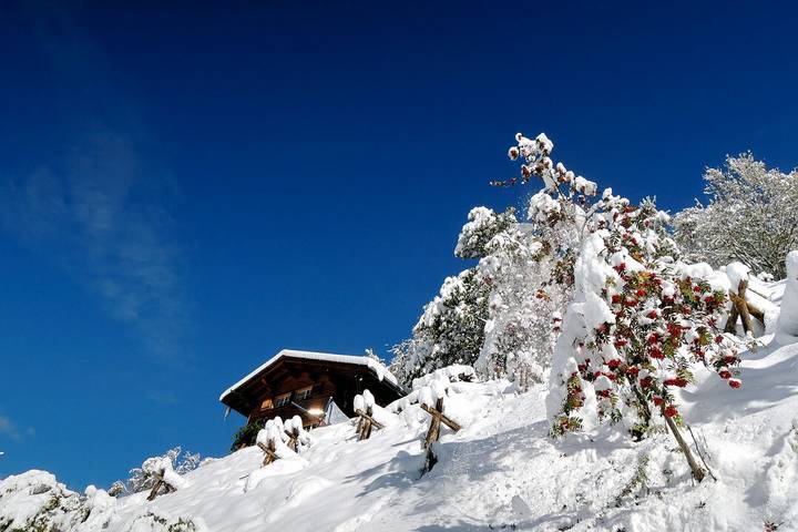 Ferienwohnung für 7 Personen, mit Garten, kinderfreundlich - 1