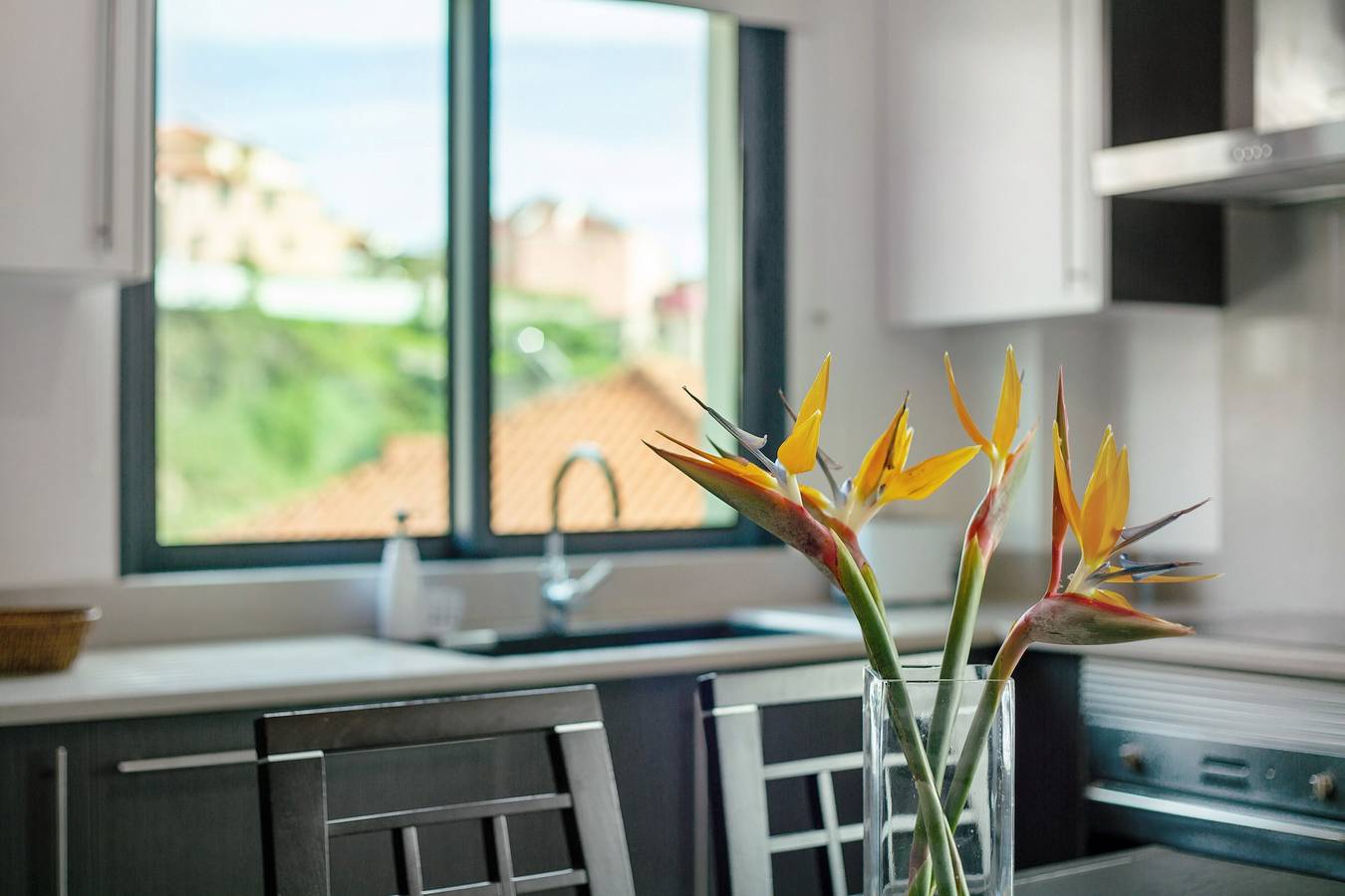 Ganze Wohnung, Ferienwohnung 'Eden' mit Bergblick, Balkon und Wi-Fi in Machico, Madeira