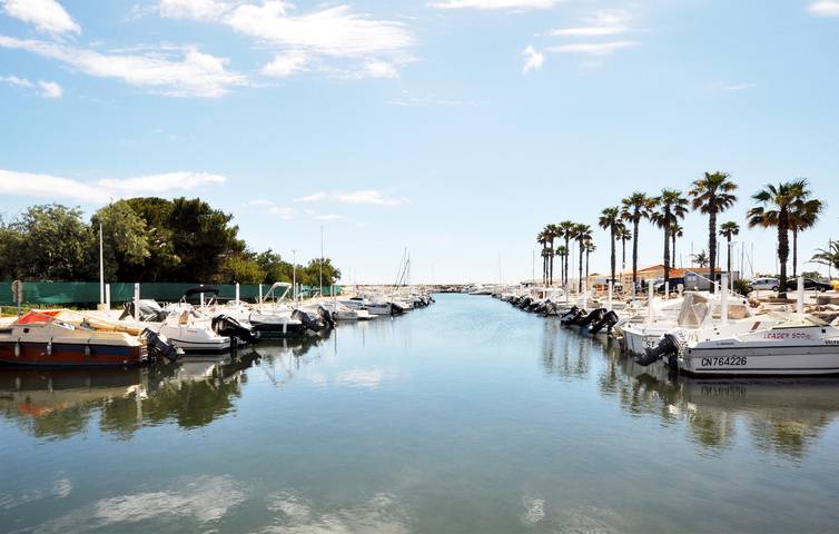 Location de vacances pour 4 personnes, avec terrasse et jardin à Perpignan - 2