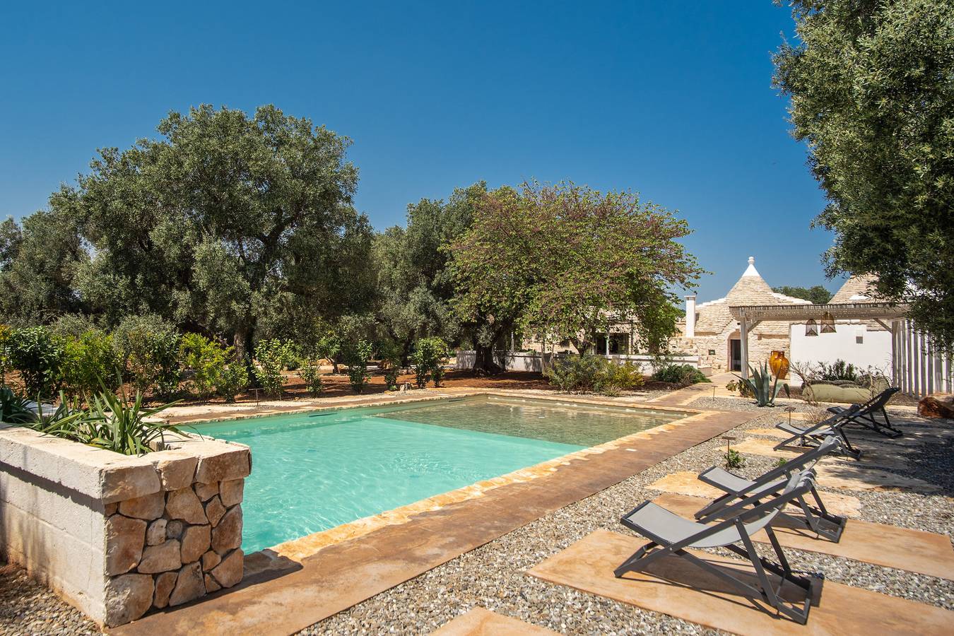 Trulli, cicale e olive in Ceglie Messapica, Salento