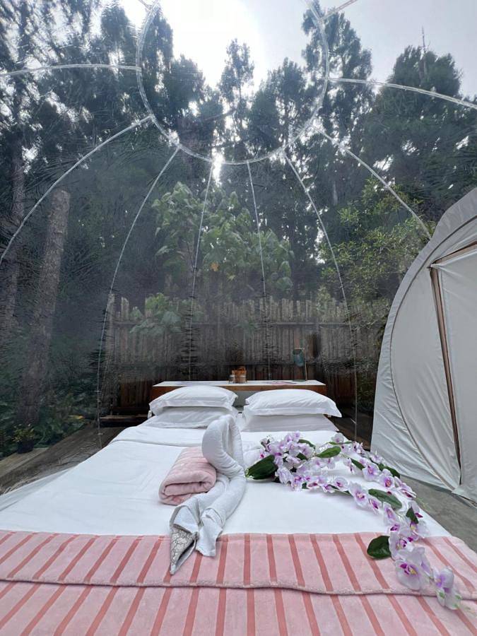 Tente pour 2 personnes, avec jardin et jacuzzi sur l' Île de la Réunion - 2