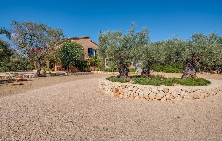 Ferienhaus für 6 Personen, mit Terrasse in Ses Salines - 4