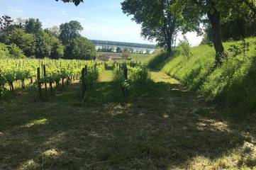 Location de vacances pour 6 personnes, avec jardin à Bourg