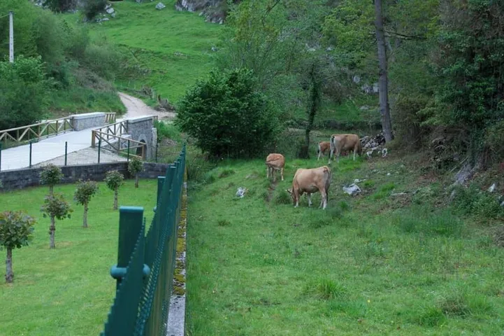 Maison de vacances pour 6 personnes, animaux acceptés - 1