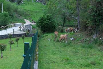 Gîte pour 6 personnes, animaux acceptés dans Porrúa