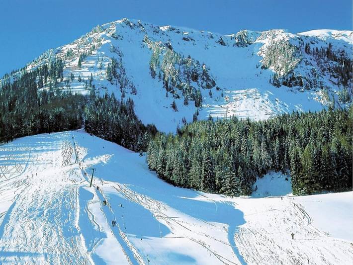 Uriges Almhütte in den Bergen nahe Skigebiete in Turnau, Hochsteiermark