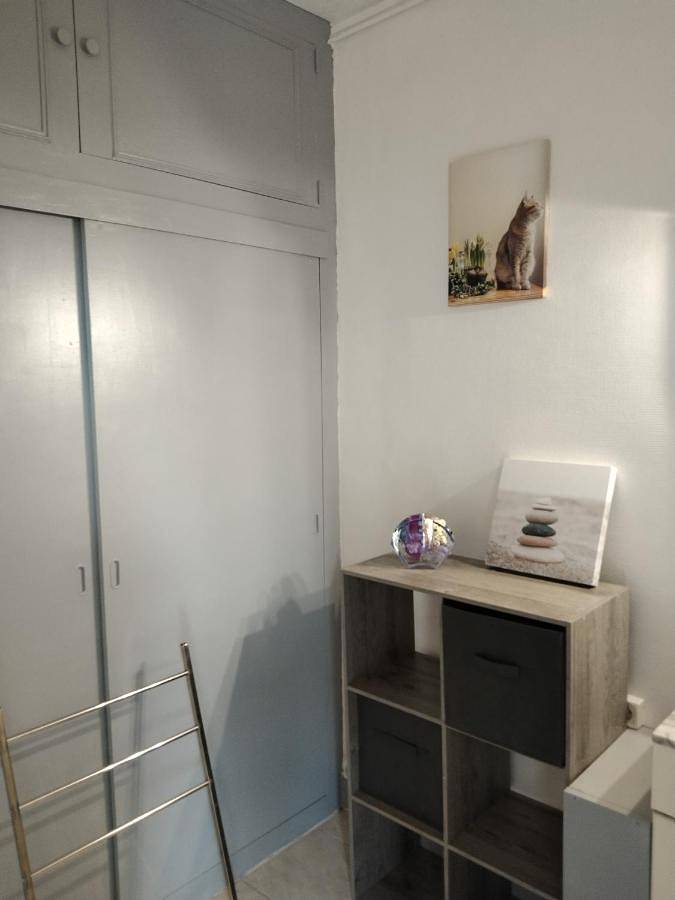 Gîte pour 4 personnes, animaux acceptés à Fourchambault - 4