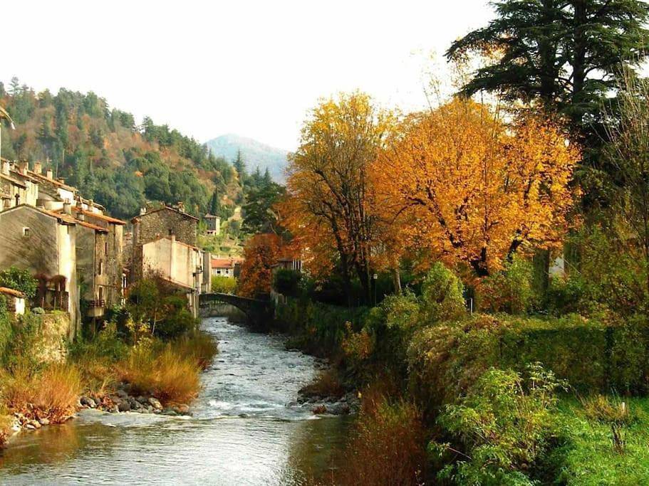Appartement entier, Le petit Luxembourg in Val-d'Aigoual, Parc national des Cévennes