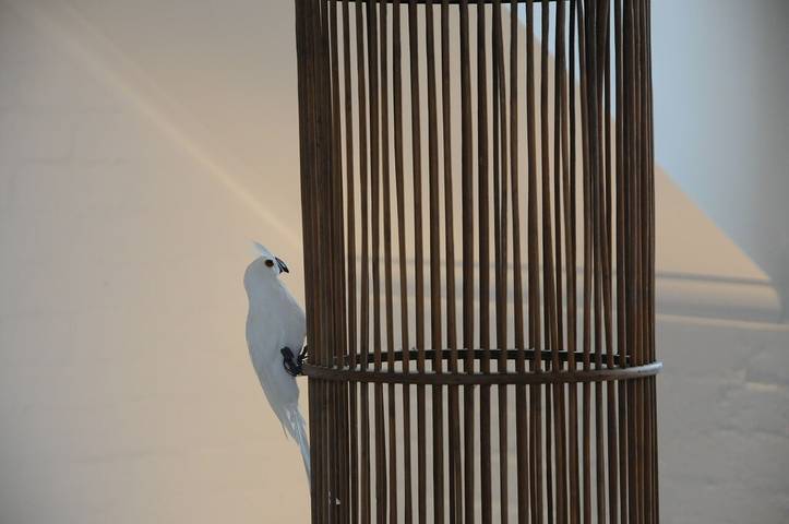 Gîte pour 6 personnes, avec balcon ainsi que jardin et piscine à Byron Bay - 3