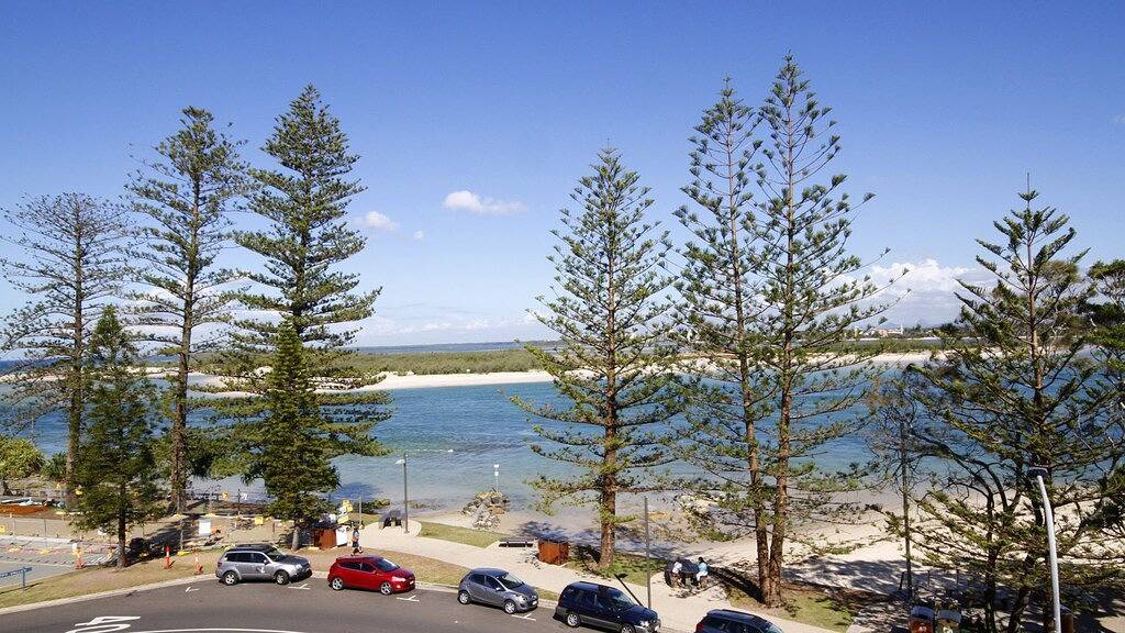 Ganze Wohnung, Lowanna Unit 10, 24 Bulcock Beach Esplanade, Bulcock Beach in Caloundra, Sunshine Coast