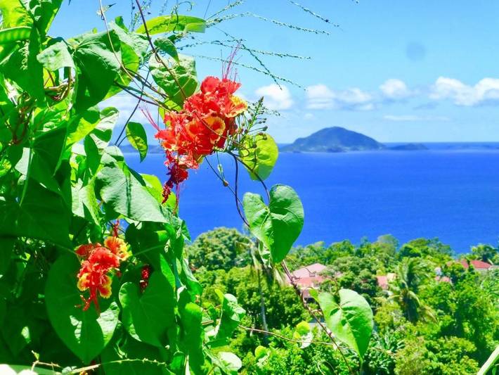 Gîte pour 8 personnes, avec terrasse, animaux acceptés à Gourbeyre - 2
