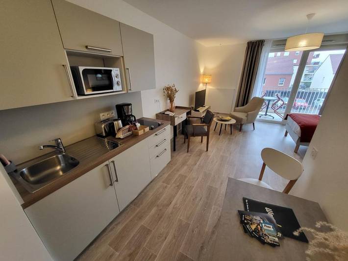 Location de vacances pour 3 personnes, avec piscine et vue ainsi que jardin et sauna, animaux acceptés à Saverne - 4