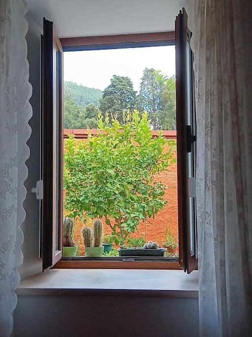 Location de vacances pour 3 personnes, avec jardin dans Góis - 4