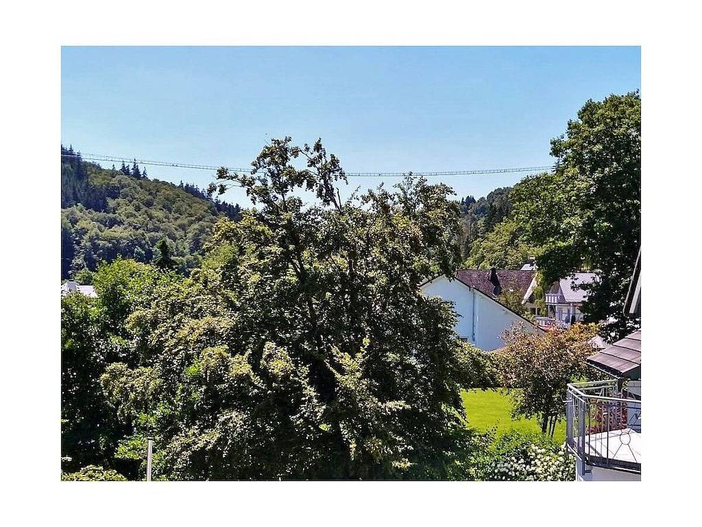 Skywalkblick (inkl. Meinecard+) in Stryck, Willingen