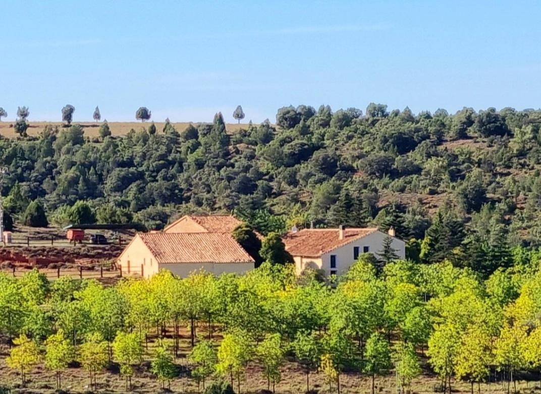 Chalet in Albentosa, Provincia de Teruel