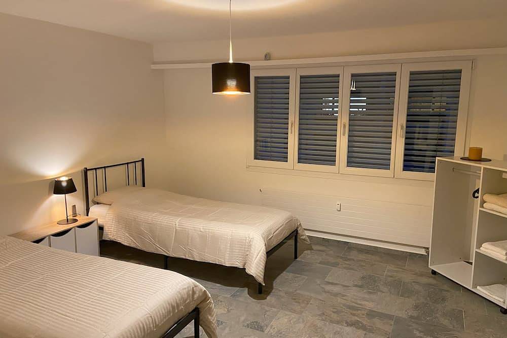 Up to 6 beds in the green but still in 20 min in the center of Basel in Aargau-Basel