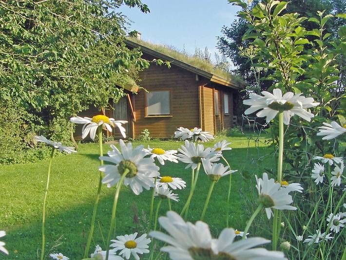 Ferienhaus für 4 Personen, mit Terrasse und Garten sowie Ausblick in Gelting - 3