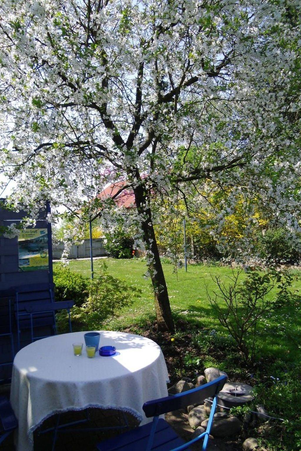 Blaues Haus, foto 13