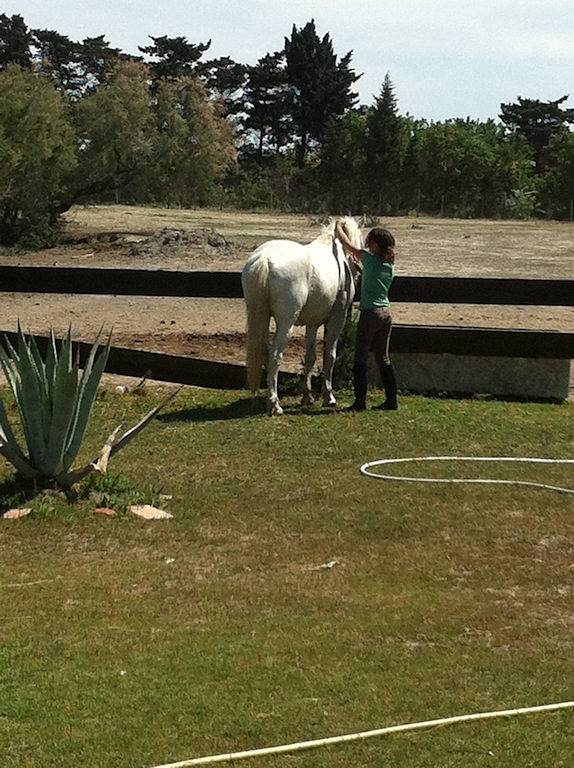 Gîte Armieux in Saintes-Maries-de-la-Mer, Région d'Arles