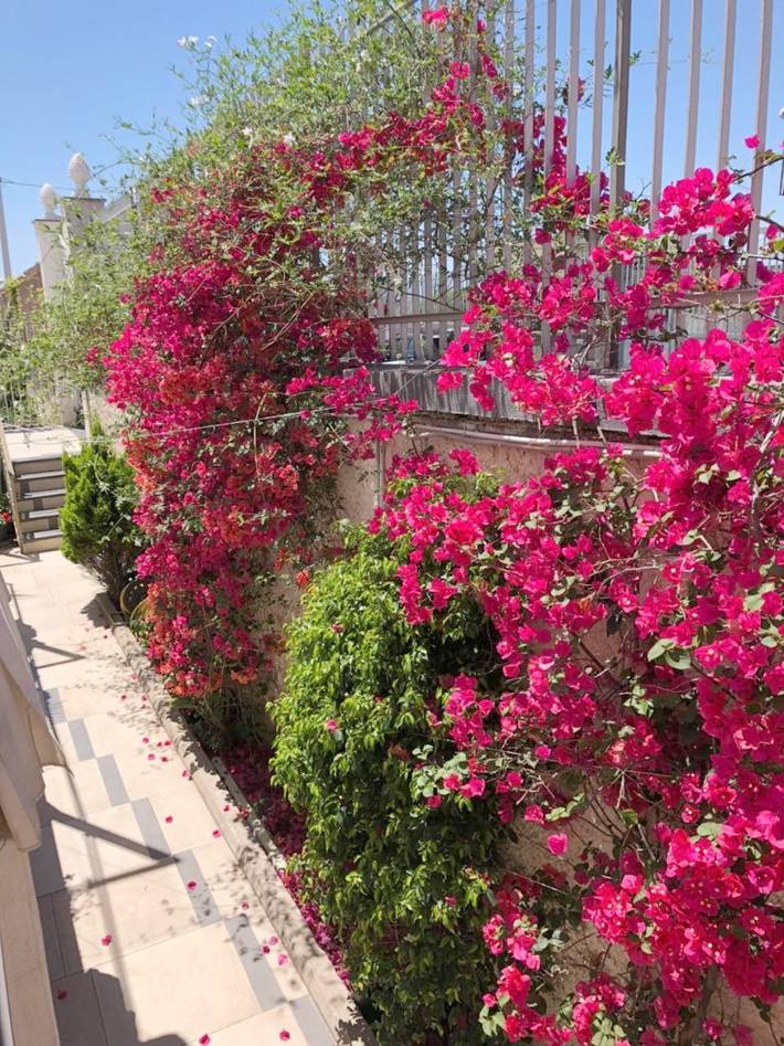 Location de vacances pour 3 personnes, avec vue et jardin à Ercolano - 2