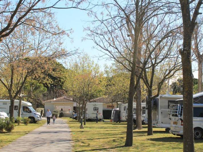 Mobil home pour 6 personnes, avec terrasse, animaux acceptés dans Plage du Grand-Travers - 4