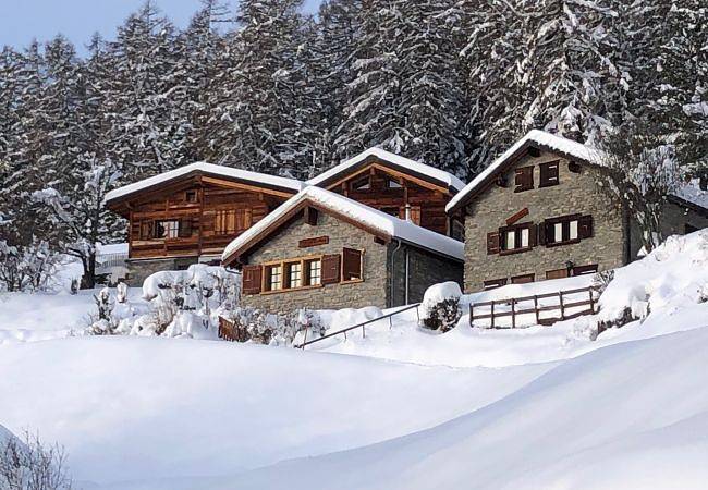Tiny House facing the Alps - Ski in and out in Ayent, Sion - Sierre & Umgebung
