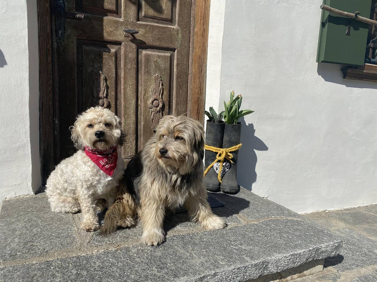 Ganze Ferienwohnung, "Tenne" in Stubaier Alpen, Oetz