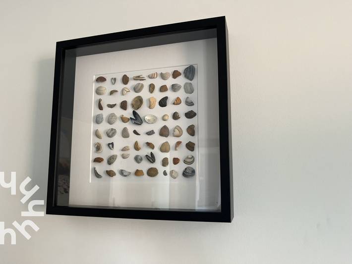 Ferienwohnung für 5 Personen, mit Terrasse in Westkapelle - 4