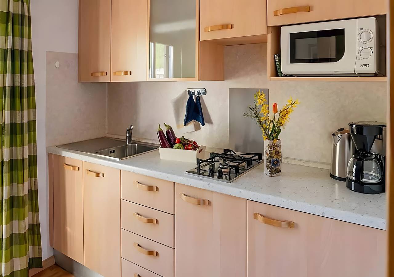 Ganze Wohnung, Apartment „Lechnerhof Appartement Enzian“ mit Bergblick, privater Terrasse & Wlan in Schenna, Passeiertal