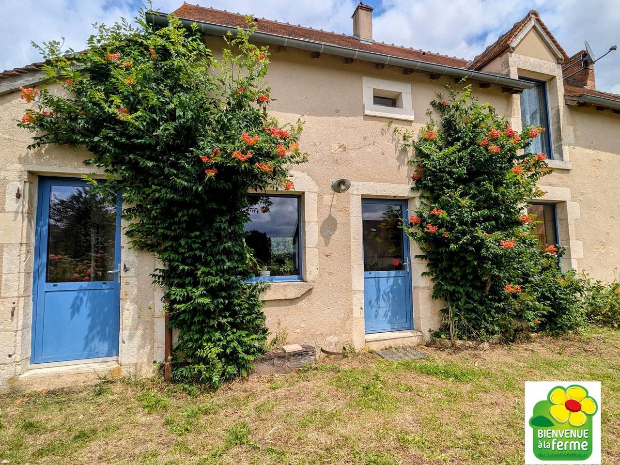 Dos casas berrichonas con jardín privado y patio compartido, ideal para grupos in Región de Le Blanc
