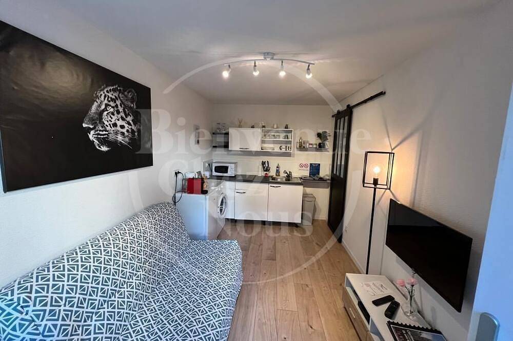 Entire apartment, F2, Av. Marx Dormoy Centre ville. (A) in Clermont-Ferrand, Volcans d'Auvergne Regional Nature Park