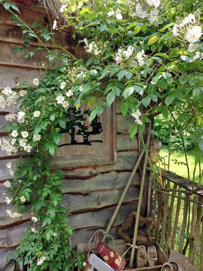 Location de vacances pour 2 personnes, avec jardin ainsi que vue et balcon à Gesves - 2