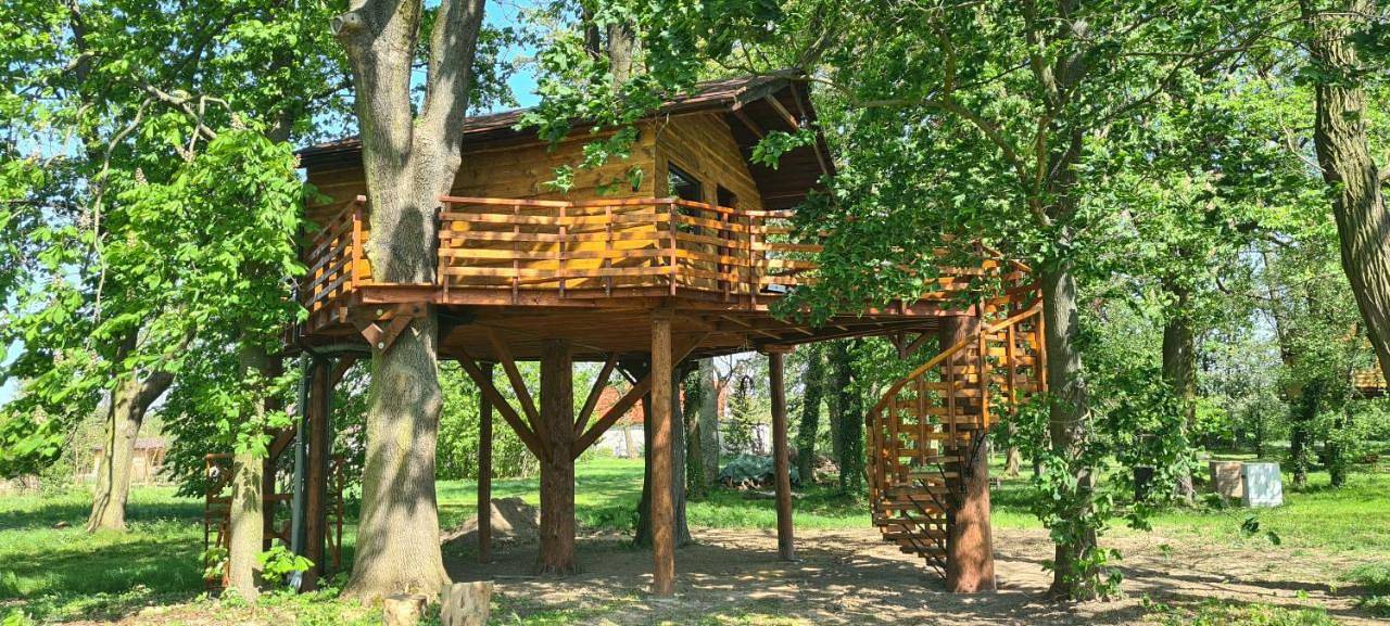 Tree Vill in Dolny Śląsk