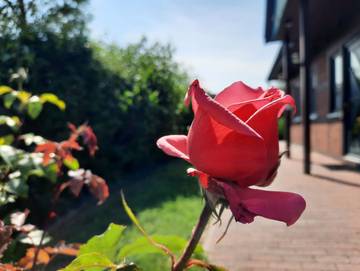 Ferienwohnung für 5 Personen in Mölschow, Usedom, Bild 4