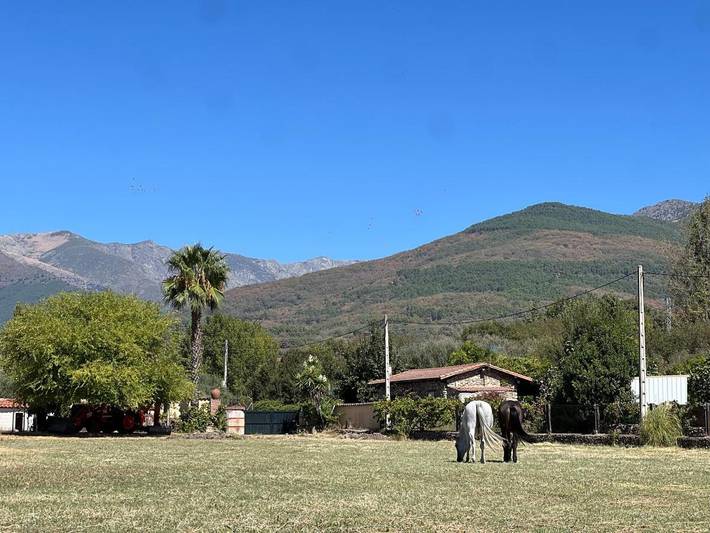 Chalet para 8 personas, con terraza y vistas además de piscina y jardín, Se admiten mascotas en Valle del Tiétar - 3
