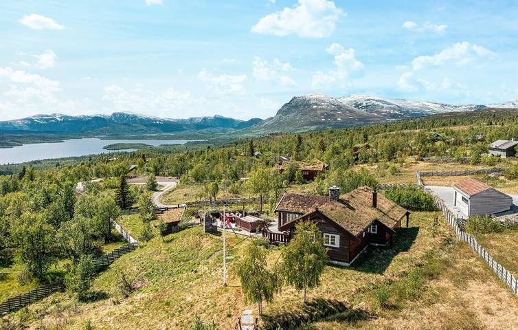 Ferienhaus für 8 Personen, mit Terrasse und Garten in Hemsedal