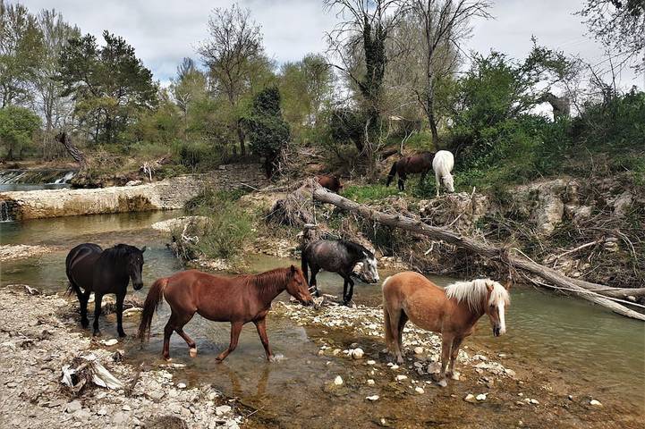 Gîte pour 5 personnes, avec piscine à Lurs - 3