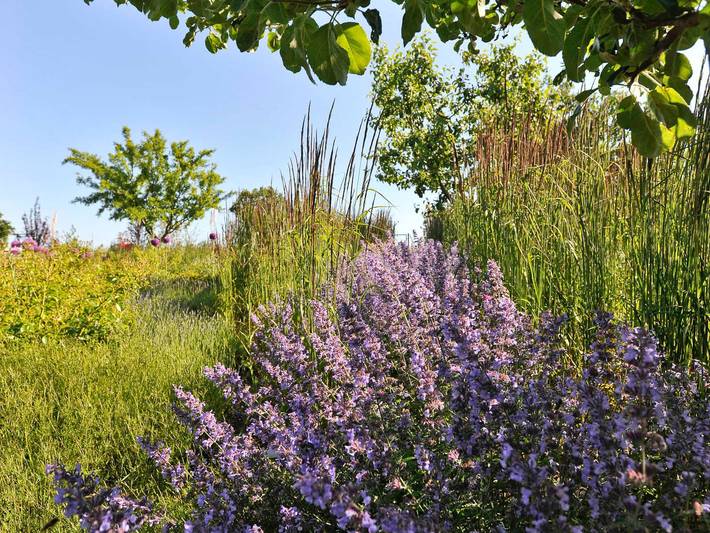 Ferienwohnung für 2 Personen, mit Garten und Terrasse in Mönchgut-Granitz - 4
