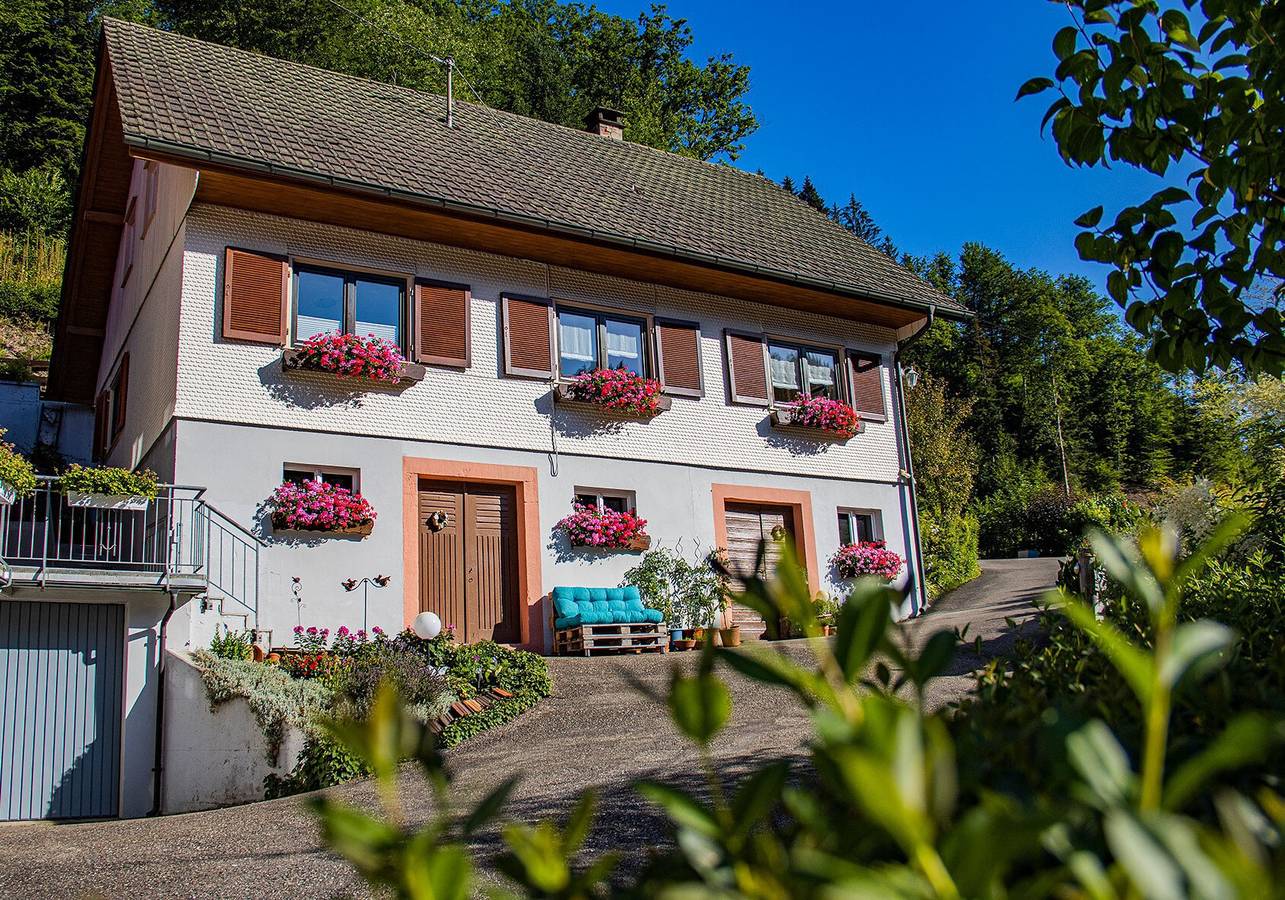 Ganze Wohnung, Ferienhaus 'Ferienhaus Niedermättle' mit Bergblick, privater Terrasse und Wi-Fi in Oppenau, Mittlerer Schwarzwald