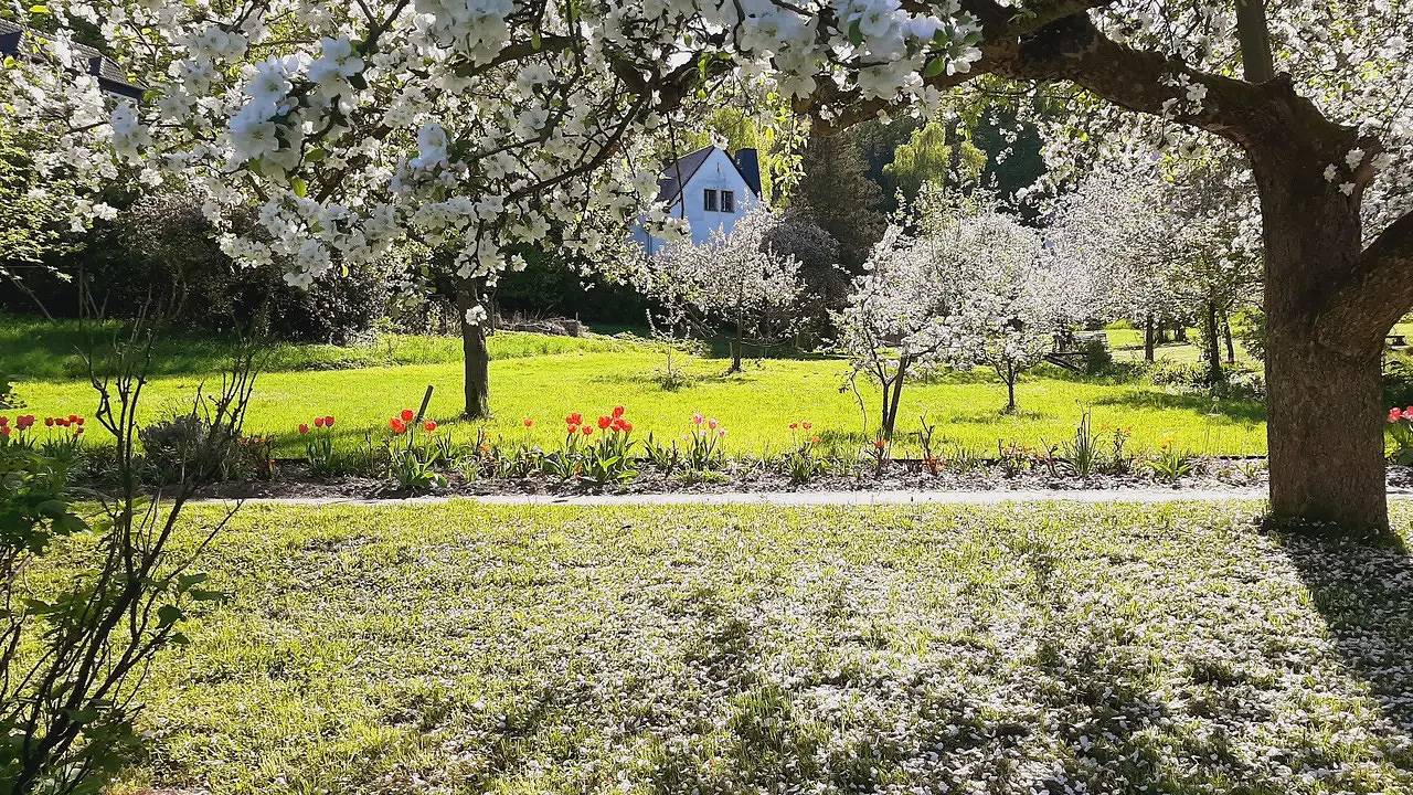 Mehrbettzimmer für 2 Personen (12 m²) in Bad Freienwalde in Bad Freienwalde, Märkische Schweiz-Oderland