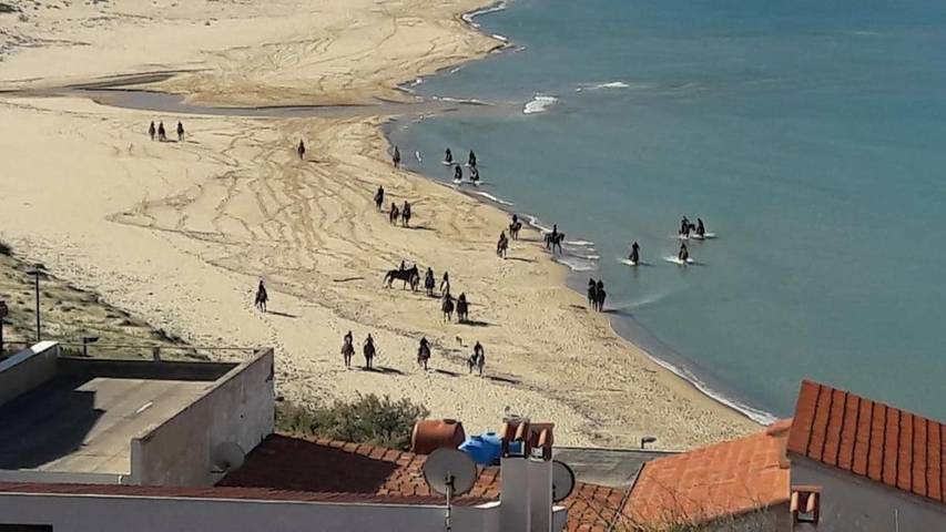 Location de vacances pour 4 personnes, avec jardin ainsi que terrasse et vue, animaux acceptés à Fluminimaggiore - 3