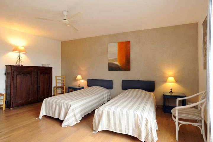 Les oliviers in Thuir, Mediterranean Coast (France)