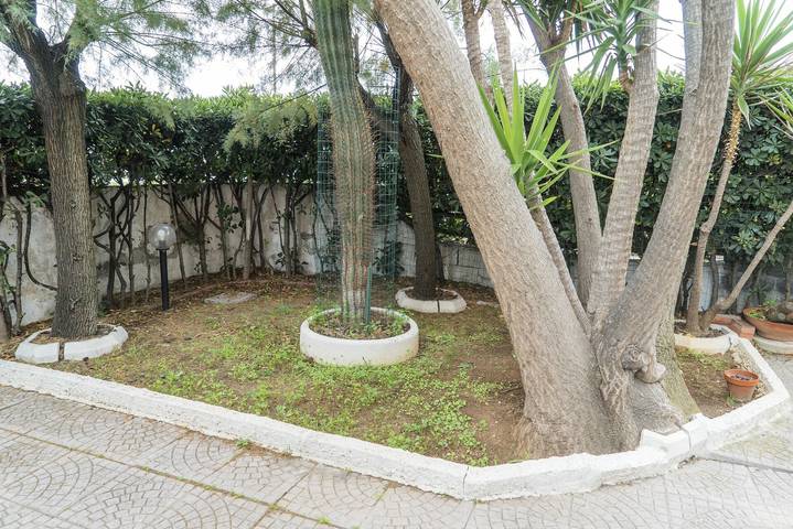Ferienhaus für 4 Personen, mit Terrasse und Garten in Latium - 4